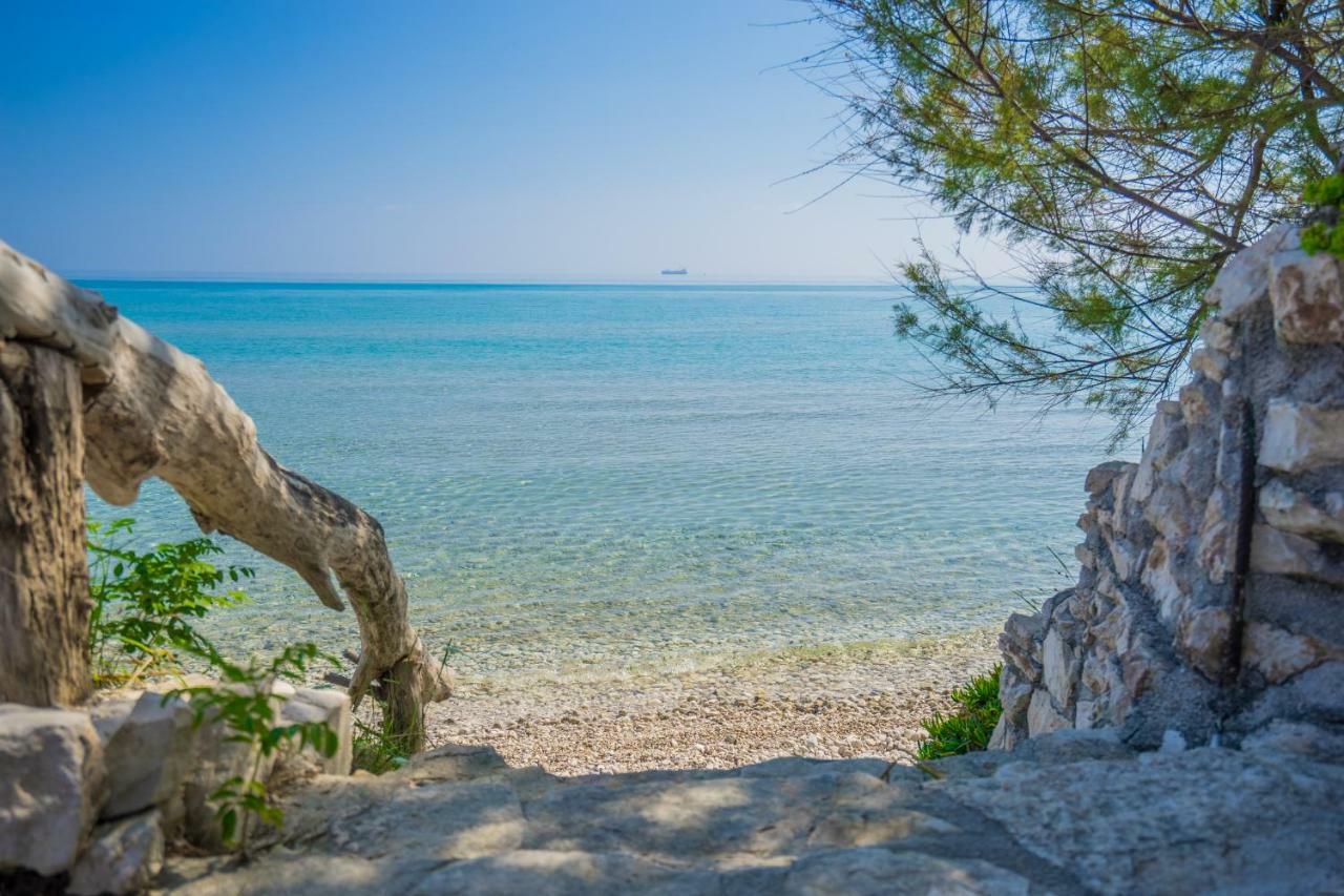 Tropical Alykes (Zakynthos)